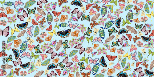 Colorful Butterflies Collection with Butterfly Background Vector Illustration	
