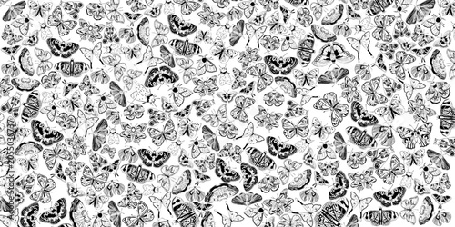  Butterflies Collection with Butterfly Background Vector Illustration	
