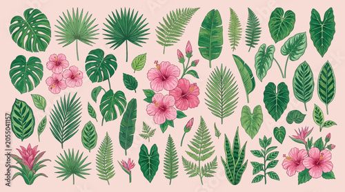 Tropical Leaves and Flowers Collection - Exotic Botanical Illustration