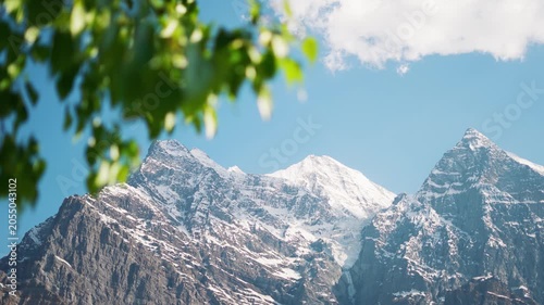 4K shot of snowy Himalayan mountain peak with defocused leaves of Poplar trees waving in the wind as seen from Khangsar village in Lahaul and Spiti district, Himachal Pradesh, India. Natural view.
