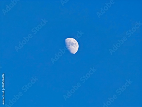 Billede på lærred Beautiful detailed daytime photograph of the waxing gibbous moon in a vibrant blue sky
