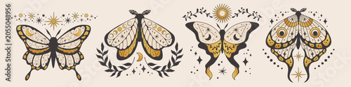 Foto Celestial moth illustration with mystic moon phases and butterfly wings in boho vector style