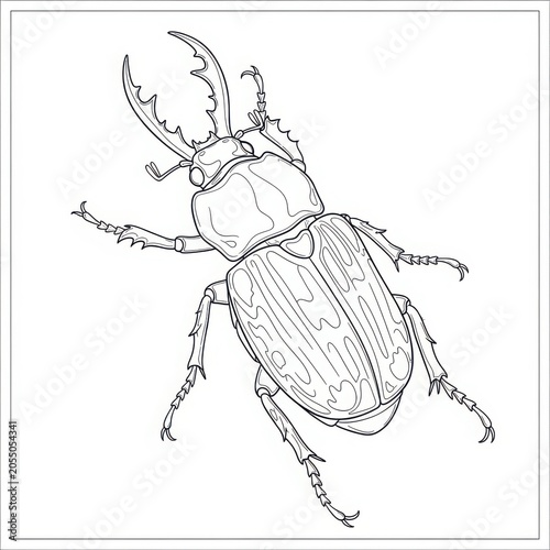 Detailed line art illustration of a stag beetle isolated on white background