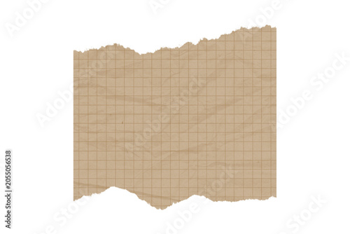 Bilde på lerret Torn piece of brown grid paper with a rough torn edge