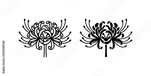 Spider Lily Vector Icons, Black and White Floral Graphics, Elegant Botanical Illustrations