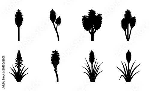 Red Hot Poker Plant Silhouettes, Kniphofia Icons, Botanical Vector Set
