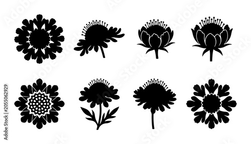 Floral Silhouettes Collection: Botanical Vector Icons, Nature Elements