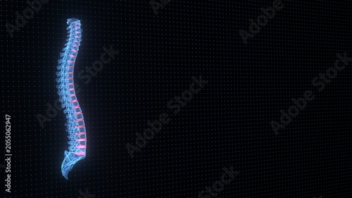 Spine anatomy with highlighted intervertebral discs for physiotherapy and rehabilitation. 3d illustration.