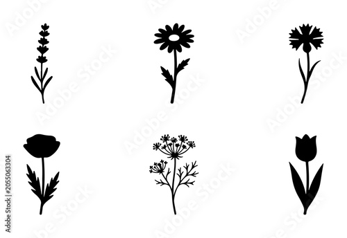 Botanical Silhouettes: 6 Floral Vector Icons, Simple Flower Graphics