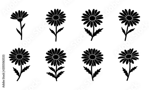 Set of 8 Black Daisy Silhouettes, Simple Floral Vector Icons, Nature Elements