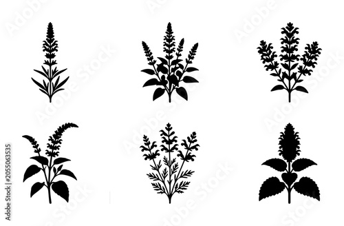 Botanical Silhouettes, Floral Vector Icons, Herbal Plant Graphics, Nature Elements