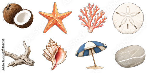 Tropical Beach Collection with Seashell Starfish Coral Sand Dollar Driftwood Coconut and Beach Umbrella