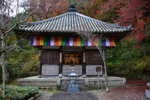 Foto 奈良県 桜井市の長谷寺～花の御寺（秋）