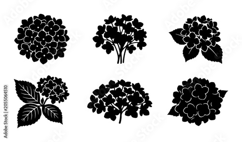 Hydrangea Flower Silhouettes, Botanical Vector Icons, Floral Garden Elements