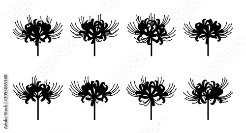 Red Spider Lily Vector Icons, Japanese Flowers, Floral Graphics, Botanical Elements