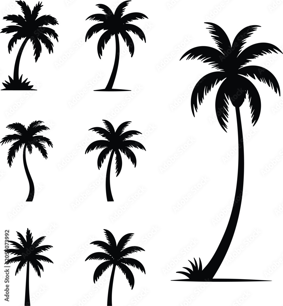 Fototapeta premium Collection of Black Palm Tree Silhouettes for Tropical Beach Travel and Summer Vacation Graphic Design Projects Vector Elements Set