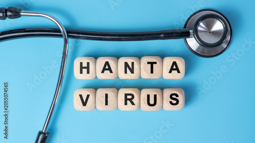 Slika na platnu Wooden Blocks with Hantavirus Word and Stethoscope