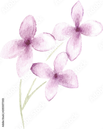 Watercolor Small Lilac Flower Branch