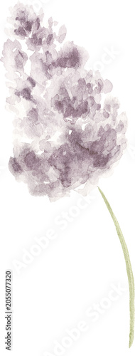 Watercolor Purple Lilac Blossom Element