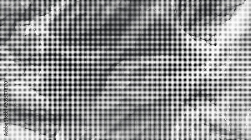 A gray scale topographic map with grid lines on a transparent background shows mountainous terrain