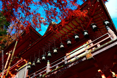 Bild auf Leinwand 奈良県 桜井市の談山神社（秋の紅葉）