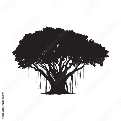 Photos Banyan Tree Silhouette Against White Background Detailed Branching Structure