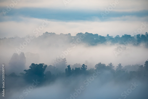 Foto Misty Mountain Morning: A serene landscape of rolling hills shrouded in thick, ethereal mist, creating a tranquil and dreamlike atmosphere as the day begins to break