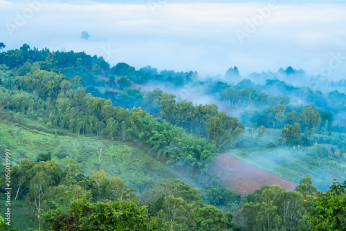 Misty Mountain Landscape: Rolling hills shrouded in a gentle mist, with lush green forests and a hint of cultivated land, creating a serene and ethereal natural panorama.