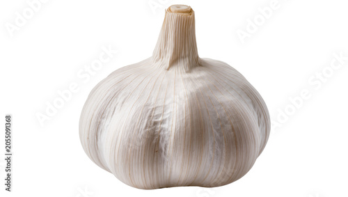 Isolated whole garlic bulb showing textured papery skin a staple aromatic cooking ingredient