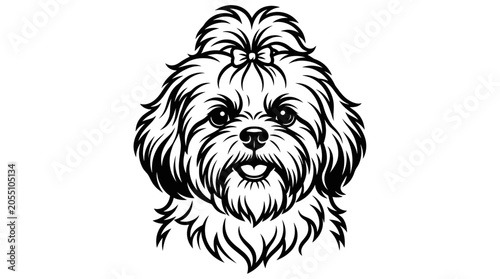 Photos Fluffy shih tzu dog face with hair bow line art