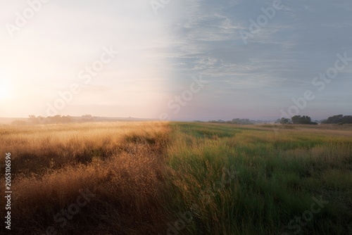 Split landscape showing scorched dry grass and green meadow background for environmental awareness poster and banner