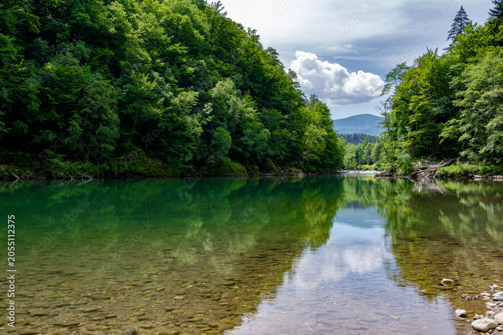 Fototapeta premium Crystal clear Kolpa River flowing through lush green forest landscape on the Slovenia Croatia border showcasing pristine ecotourism and nature travel destination