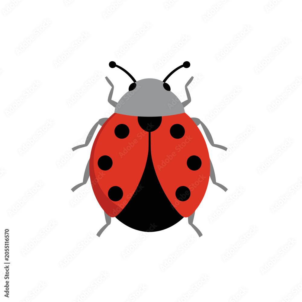 Fototapeta premium Ladybug Icon Vector Illustration, Isolated Transparent Background for Web Design and Digital Marketing Use