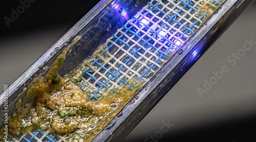 Creative UV light, disinfection, purification system, germicidal lamp, blue glow 2k