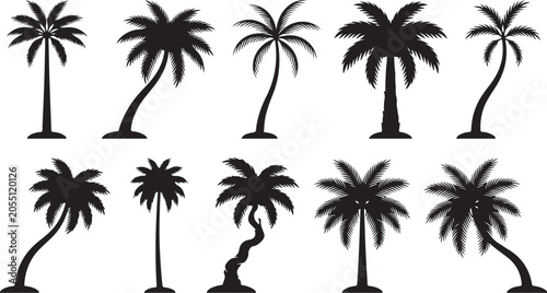 Quadro em tela Black and white palm trees vector illustration