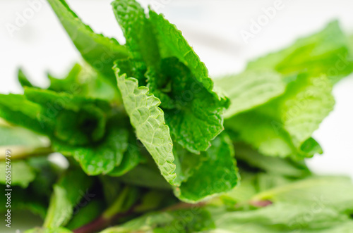 Tableau sur toile Fresh mint leaves gleam with dewy vibrancy