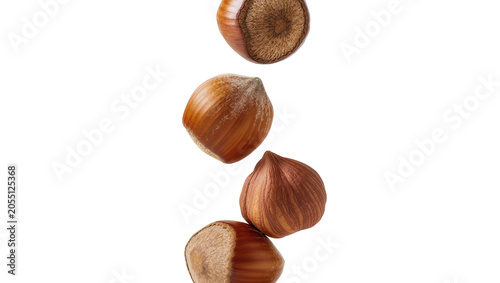 Εκτύπωση καμβά Isolated falling hazelnuts with shell, natural brown nuts, raw organic food ingredients