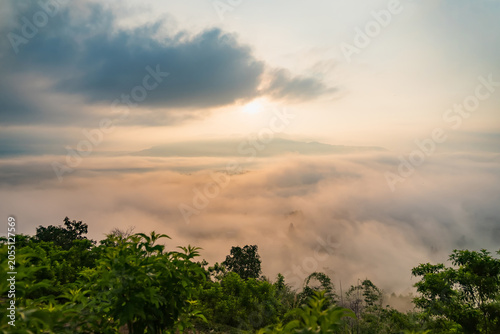 Sea of Clouds at Sunrise: A breathtaking panoramic view from a mountaintop overlooking a vast expanse of fluffy clouds illuminated by the gentle rays of the rising sun.