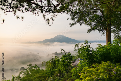Morning Mist Over Mountains: A serene mountain landscape emerges from a thick blanket of morning mist, bathed in the soft, golden light of dawn. Lush green foliage frames the view.