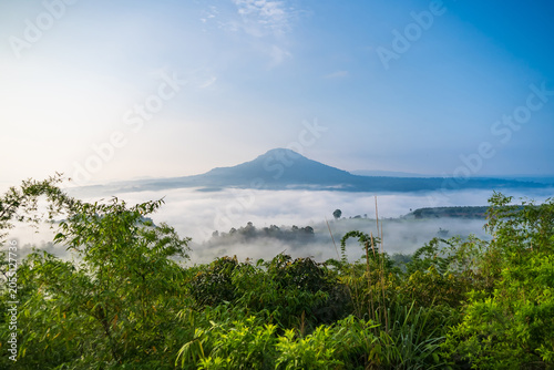 Misty Mountain Sunrise: A majestic mountain peak emerges from a sea of mist as the sun rises, painting the sky with soft hues and casting a serene glow over the lush green landscape.