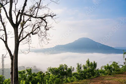 Misty Mountain Sunrise: A majestic mountain peak emerges from a sea of ethereal mist, bathed in the soft, diffused light of early dawn.