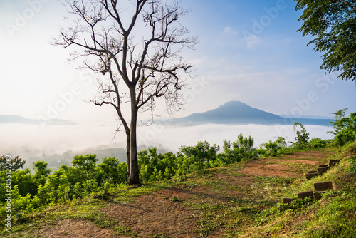 Misty Morning Over Valley: A lone, bare tree stands silhouetted against a soft, misty morning sky, overlooking a valley blanketed in fog with a distant, rounded mountain peak.