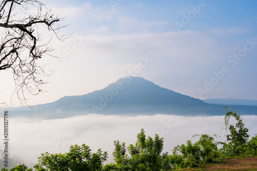 Misty Mountain Vista: A majestic, cloud-shrouded mountain emerges from a thick blanket of mist, creating a serene and ethereal landscape under a soft blue sky.