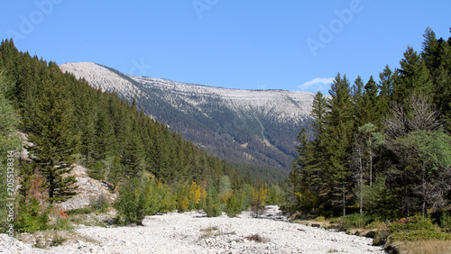 Принти на полотні A rocky dry creek bed winds through evergreen forest below the limestone ridges of the Big Snowy Mountains in Lewis and Clark National Forest, Montana