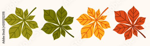 Schilderij op canvas Chestnut leaf collection in green and autumn colors