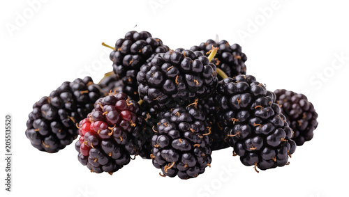 Obraz na plátne Isolated fresh ripe black mulberries in a pile, healthy sweet summer fruit snack