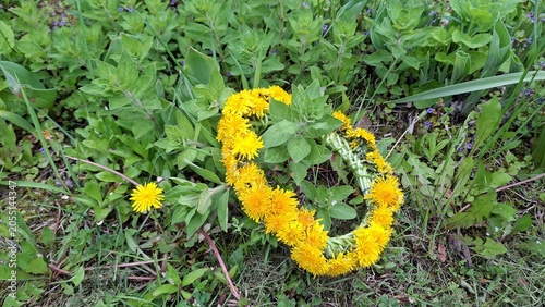 Принти на полотні Handwoven crown made of yellow dandelions lying on green grass