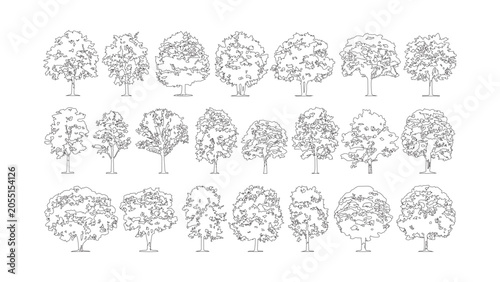 Set of hand drawn deciduous trees in front view for architectural exterior landscape design.