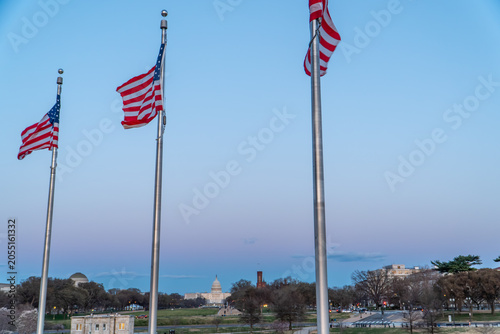 American Flags Flying Against Blue Sky in Washington DC