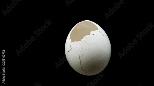 embryo. A white eggshell with a cracked opening revealing a bird embryo. gardening catalogs, home-decor guides, designed for gardening and botanical catalogs, promotes healthy living.